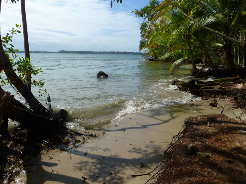 Bocas del Toro - Reiseblog Südamerika und Mittelamerika