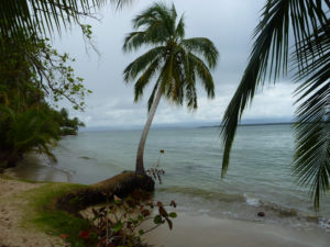 Bocas del Toro - alexgehtaufreisen.de Reiseblog Südamerika und Mitelamerika