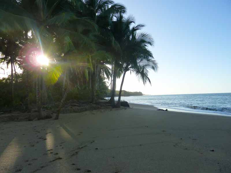 Playa Lagarto  Reiseblog Südamerika und Mittelamerika