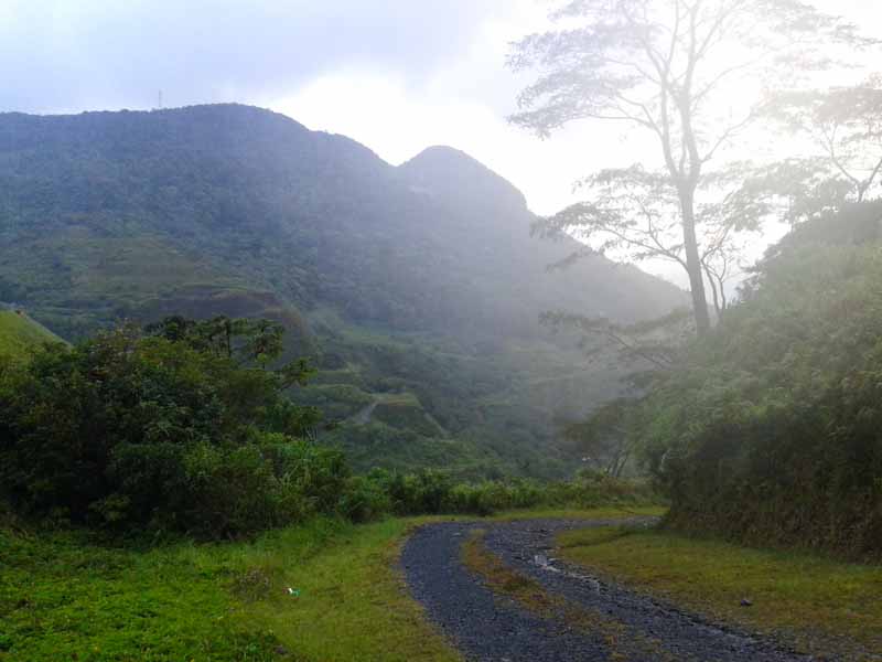 Cordillera Central Panama