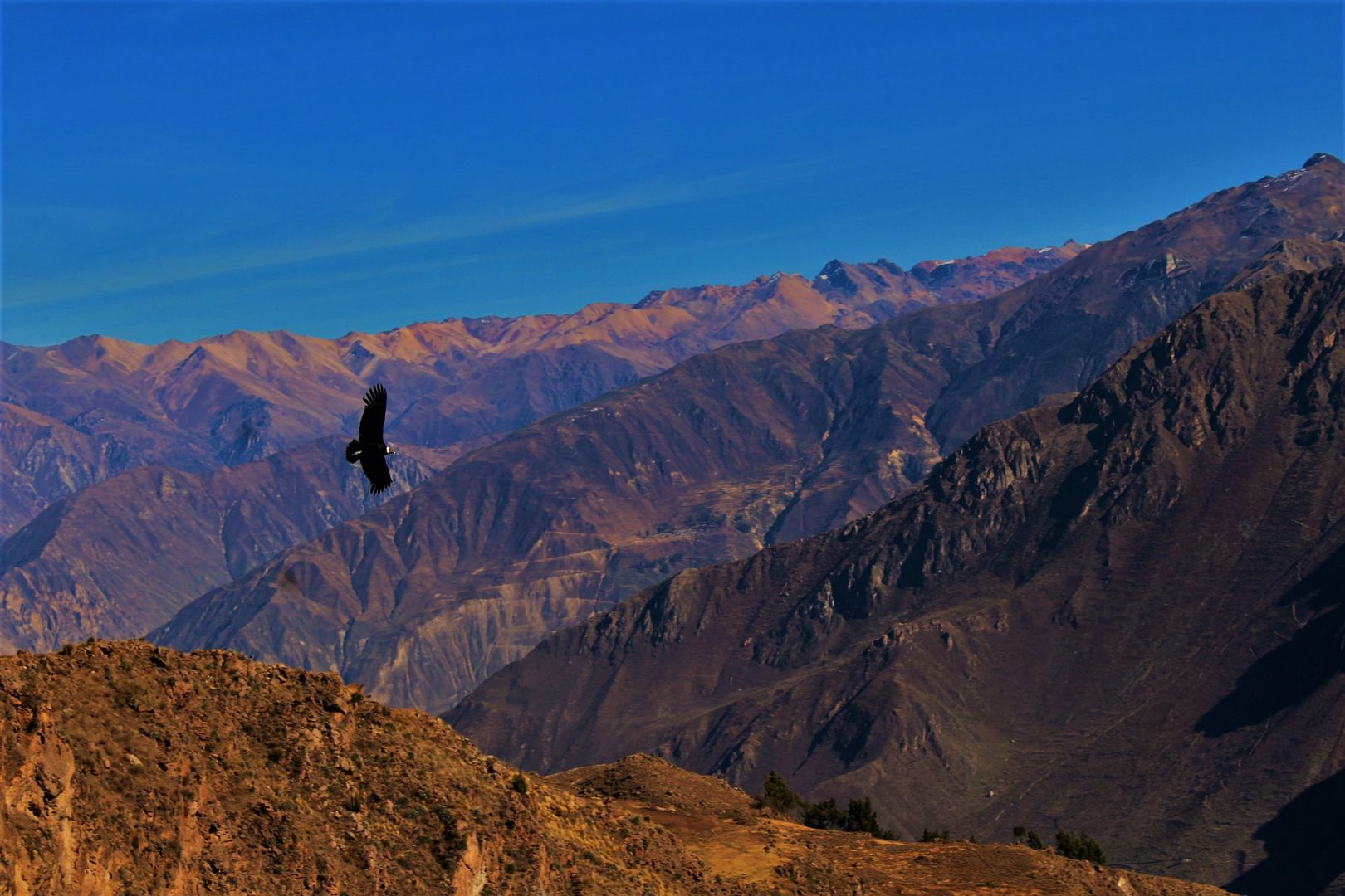Cruz del Condor Peru