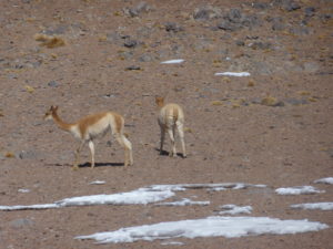 Salar de Uyuni