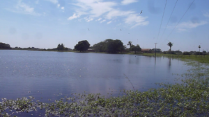 Pantanal Brasilien